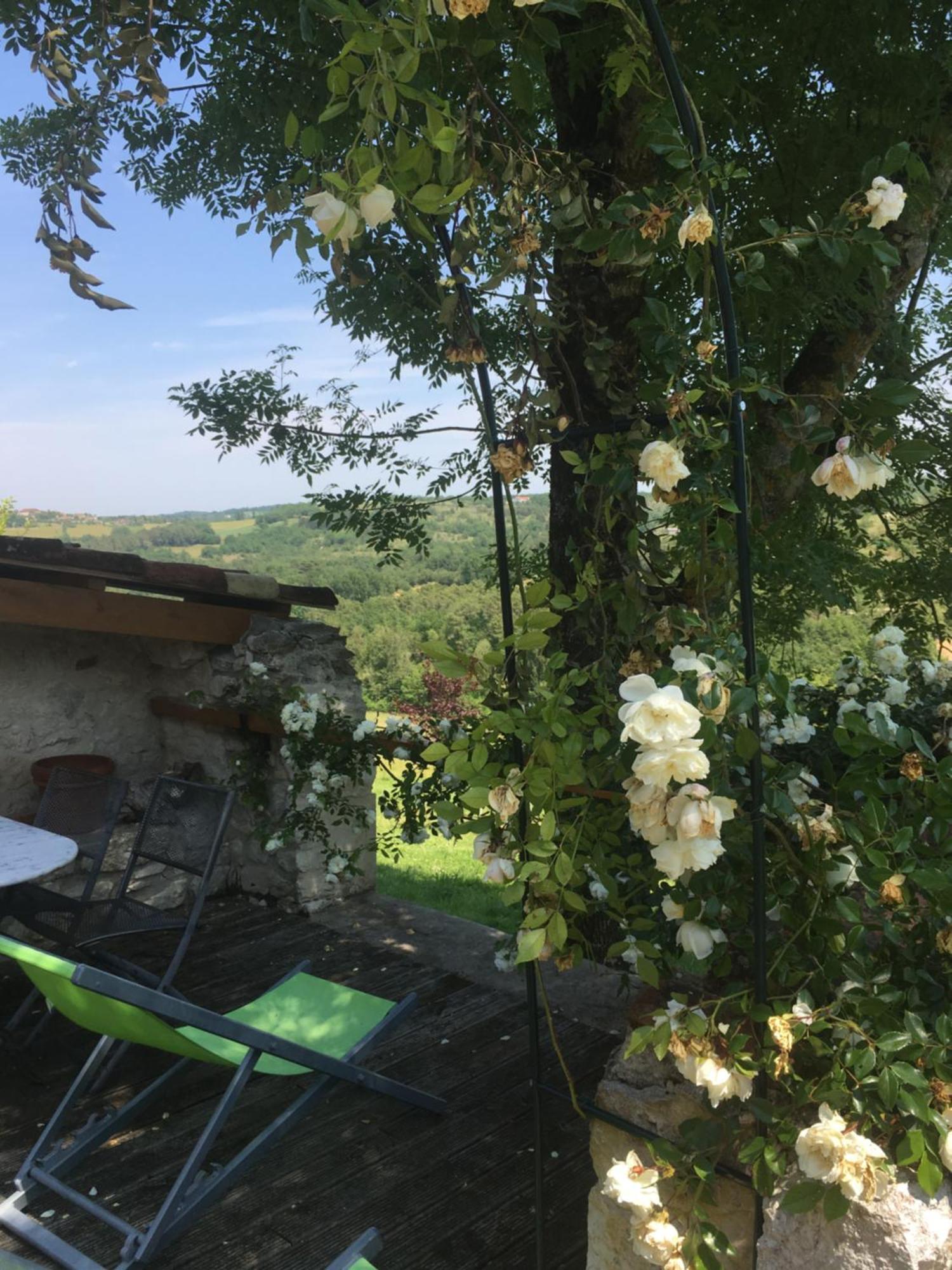 Le Mas Des Papillons Fargues  Exteriör bild