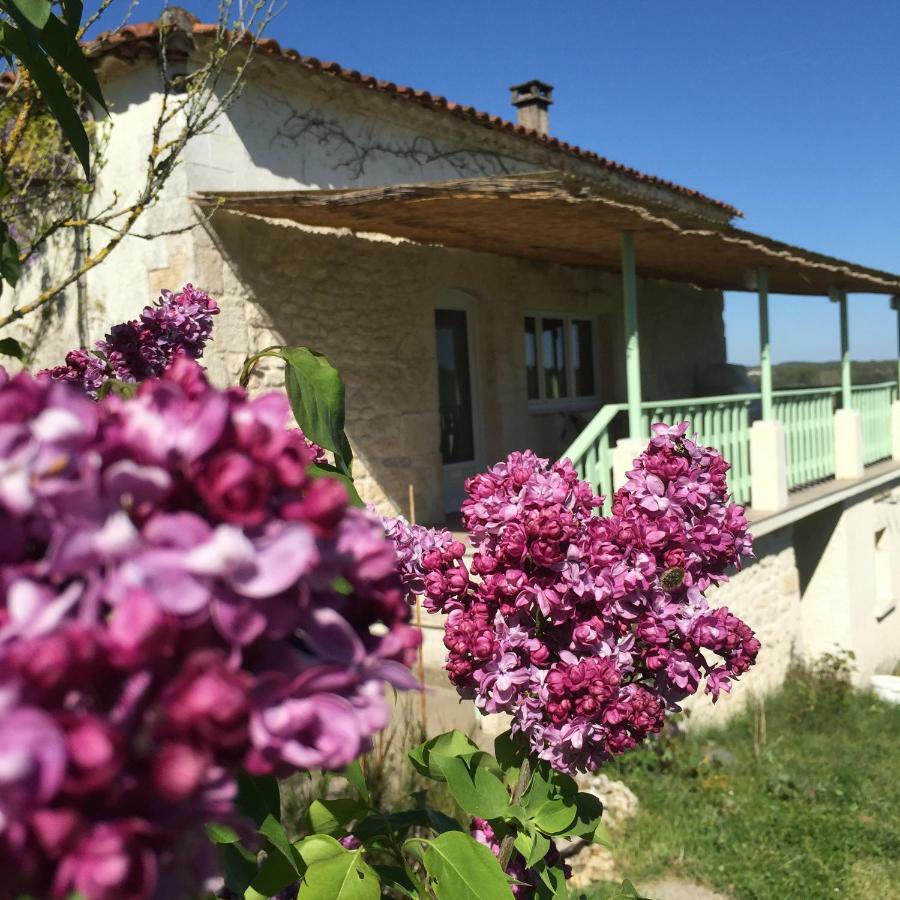 Le Mas Des Papillons Fargues  Exteriör bild